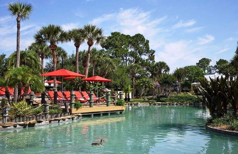 Wyndham Orlando Resort International Drive, slika 2