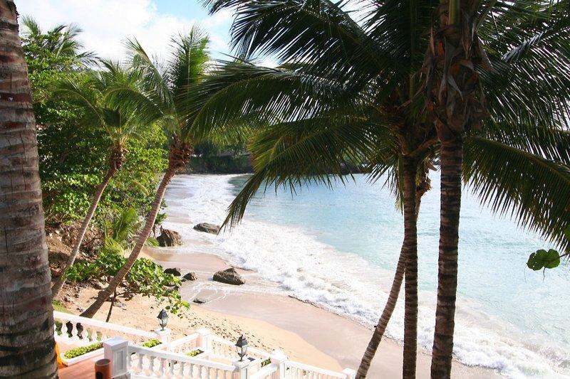 Luxury Bahia Principe Samana, slika 3