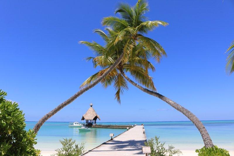 Canareef Resort Maldives, slika 4