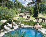 Mason Elephant Park & Lodge, Bali - Ubud, last minute odmor