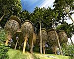 Keemala, Tajland, Phuket - last minute odmor